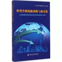 音像转型升级的新战略与新对策王战 等 著