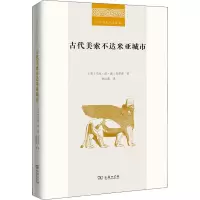 音像古代美索不达米亚城市[美]马克·范·德·米罗普