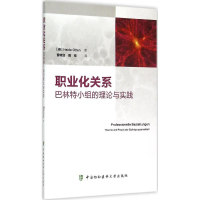 音像职业化关系(德)海德·奥登(Heide Otten) 著