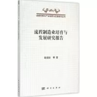 音像流程制造业培育与发展研究报告殷瑞钰 等 著