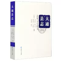 音像大通志()/青海地方史志文献丛书