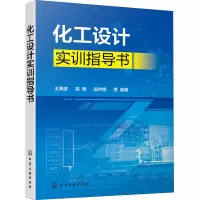 音像化工设计实训指导书王海波