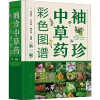 音像袖珍草彩色图谱(第2版)(精)岳桂华,王全顺,杨高华编著