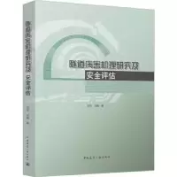 音像隧道病害安全评估刘 宇