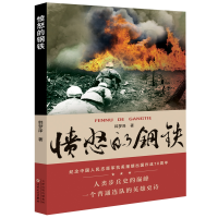 音像愤怒的钢铁韩梦泽