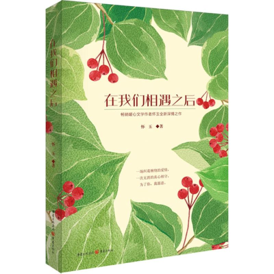 音像在我们相遇之后怀玉 著