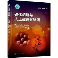 音像磁化焙烧与人工磁铁矿球团张汉泉,路漫漫著