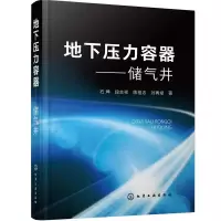 音像地下压力容器--储气井(精)石坤