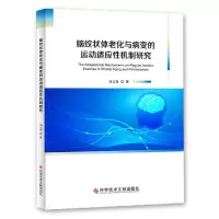 音像脑纹状体老化与病变的运动适应机制研究刘文锋|责编:李鑫