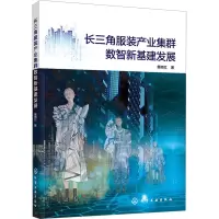音像长三角产业集群数智新基建发展黄格红 著
