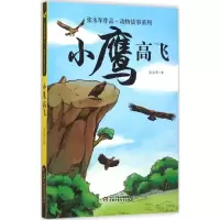 音像小鹰高飞张永军 著