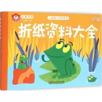 音像折纸资料大全红花童书 编著