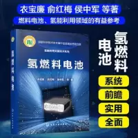 音像氢燃料电池衣宝廉,俞红梅,侯中军