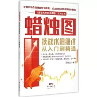 音像蜡烛图技战术细细讲罗振文 著