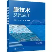 音像膜技术及其应用王湛