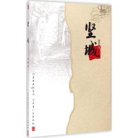 音像坚城安雷 著