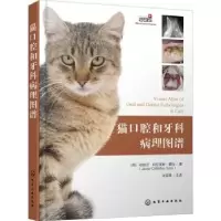 音像猫口腔和牙科病理图谱[西]哈维尔·科拉多斯·索托