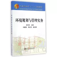 音像环境规划与管理实务(普通高等教育十二五规划教材)李天昕