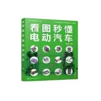 音像看图秒懂电动汽车陈新亚