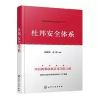 音像杜邦安全体系崔政斌,赵峰 编著