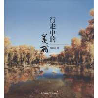 音像行走中的美丽杨建国 著