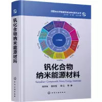 音像钒化合物纳米能源材料梁叔全,潘安强,周江