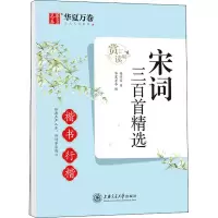 音像宋词三百精 楷书行楷 赏读版杨子实