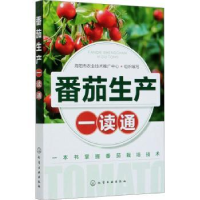 音像番茄生产一读通海阳市农业技术推广中心