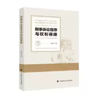 音像刑事诉讼程序与权利保障屈新著