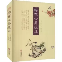 音像梅花心易疏杨波