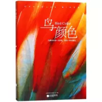 音像鸟颜色编者:孙茜