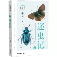 音像迷虫记半夏