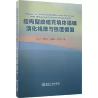 音像结构型胶结充填体损破演化机理与强度模型汪杰 等