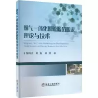 音像烟气一体化脱硫脱硝脱汞理论与技术郝润龙,赵毅,袁博