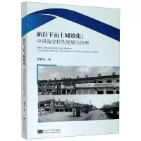 音像新自下而上城镇化:中国村的发展与治理罗震东