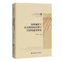 音像治理视野下社会组织的作用与法治化建设研究郭剑平