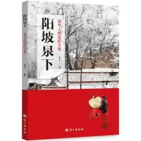 音像阳坡泉下朱子一 著