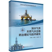 音像深水气井天然气水合物防治理论与技术研究王志远