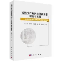 音像天然气产业科技创新体系研究与实践胡勇 等