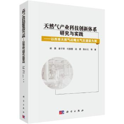 音像天然气产业科技创新体系研究与实践胡勇 等