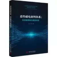 音像柔磁电材料体系:自供能感知与能源俘获苏彬