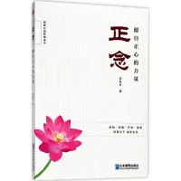 音像正念武彤芳 著