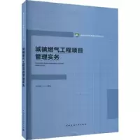 音像城镇燃气工程项目管理实务王传惠