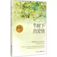 音像橘子树下的爱情金波 著