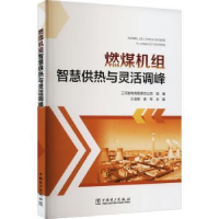 音像燃煤机组智慧供热与灵活调峰三河发电有限责任公司
