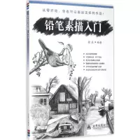 音像铅笔素描入门张波 编著