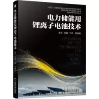 音像电力储能用锂离子电池技术惠东,金翼,于冉
