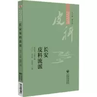 音像长安皮科流派闫小宁