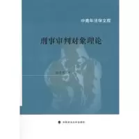 音像刑事审判对象理论谢进杰著