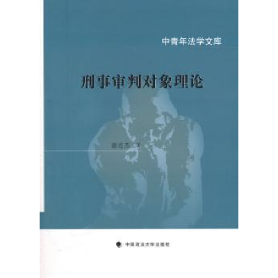 音像刑事审判对象理论谢进杰著